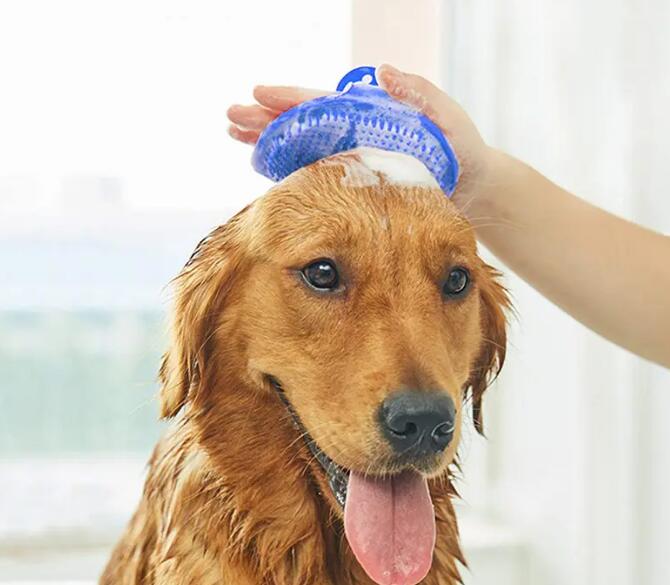 寵物醫(yī)護用品進口關(guān)稅多少？(寵物醫(yī)護用品進口關(guān)稅稅率)