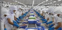 8月巴沙魚進(jìn)口量暴跌60%！近半數(shù)越南巴沙魚工廠停產(chǎn)！