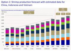 菲律賓蝦業2021產量下降7%,預計2022第一季度將全面復蘇！